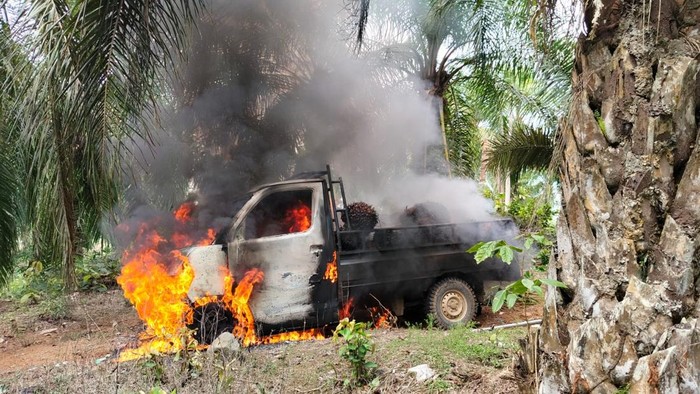 1761347876917-mobil-pencuri-sawit-dibakar-massa-1761309470657_169