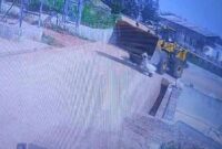 1761391862898-pekerja-pabrik-tewas-terlindas-kendaraan-berat-1761362941752_169