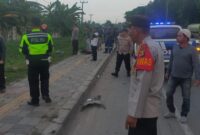 1761565008966-kecelakaan-di-palembang-1761543484682_169
