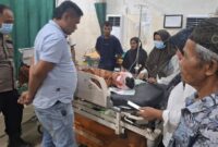 1761759220135-petani-diserang-beruang-1761734711056_169