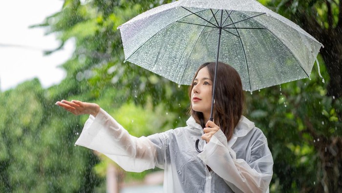 1761780084148-ilustrasi-hujan_169