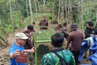 1761824336213-bengkulu-tengah-1761806155227_169