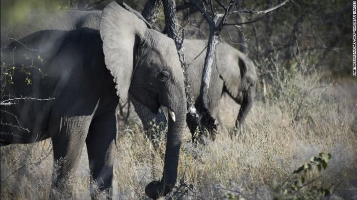 1761824444334-574c9ba1-3791-403e-ad3d-6789bb08eeaa_169