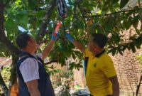 1761910661690-polisi-olah-tkp-lokasi-bunuh-diri-yang-dilakukan-pria-di-lubuklinggau-1761890731632_169