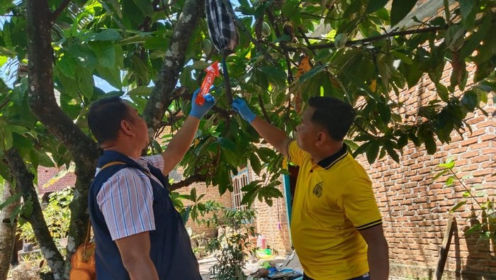 1761910661690-polisi-olah-tkp-lokasi-bunuh-diri-yang-dilakukan-pria-di-lubuklinggau-1761890731632_169