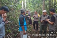 1761910683093-pihak-bksda-saat-turun-ke-lokasi-kejadian-serangan-beruang-madu-ke-petani-karet-1761835745550_169