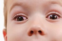 1762191206436-8c15ef18-b79b-4dd9-b866-041b6fc5e542_169