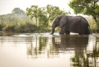 1762363955570-d189314f-c06a-4978-95c6-801f47213388_169