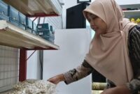 1762429127939-ukmk-1762403793949_169