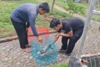 1762515240739-penyitaan-hewan-1762506783518_169