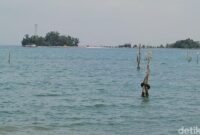 1762515246465-ilustrasi-banjir-rob-1_169