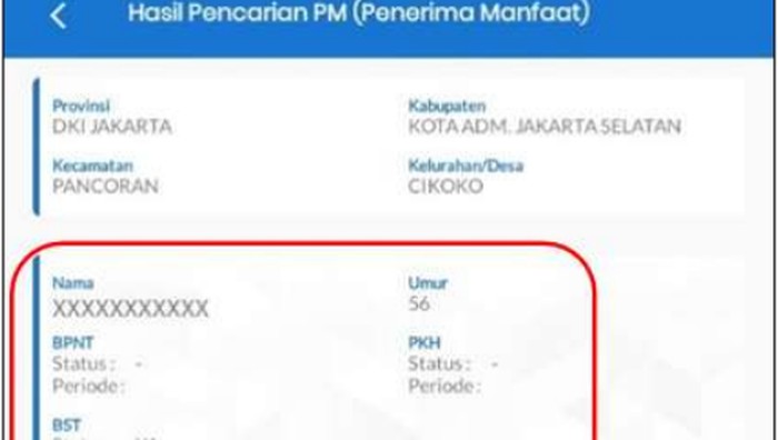 1762666529525-tangkapan-layar-penerima-bansos-kemensos_169