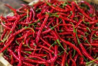 1762709504243-cabai-merah-keriting-1751433088956_169