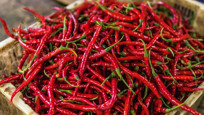 1762709504243-cabai-merah-keriting-1751433088956_169