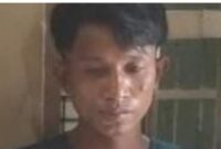 1763055294853-jambret-1763017168127_169