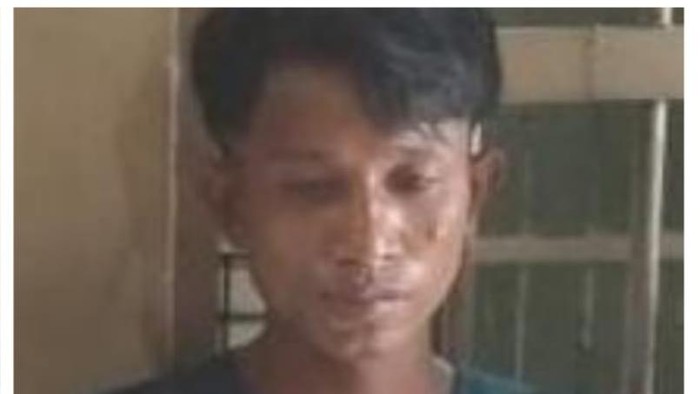 1763055294853-jambret-1763017168127_169