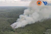 1763120051577-tim-pemadam-karhutla-di-sumsel-lakukan-water-bombing-1756097524642_169