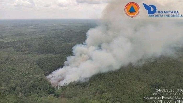 1763120051577-tim-pemadam-karhutla-di-sumsel-lakukan-water-bombing-1756097524642_169
