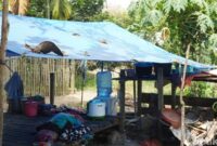 1763120074073-potret-sudung-gubuk-tempat-tinggal-orag-rimba-di-desa-mentawak-merangin-1763097778368_169