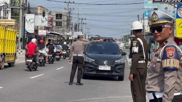 1763227762272-operazi-zebra-1763213290888_169