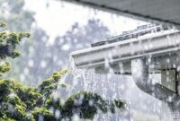 1763314154016-46c145d8-2514-4eab-bd0b-5e1b7f82d016_169