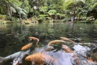 1763357839987-green-paradise-salah-satu-objek-wisata-yang-ada-di-pagar-alam-dengan-konsep-menyatu-dengan-alam-1763271361157_169