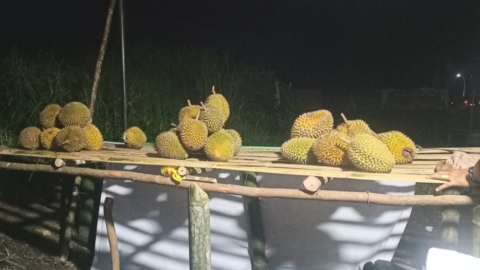 1763357886170-durian-empat-lawang-dijual-di-pinggir-jalan-oleh-petani-1763259559725_169