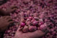 1763615176822-harga-bawang-merah-lokal-di-semarang-turun-1745379225469_169