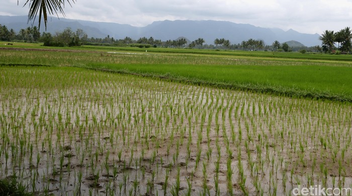 1763831119544-75869fee-f600-403d-b14c-7092e959a1bb_169