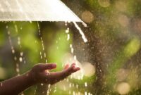 1764111886777-ilustrasi-hujan-1761276974172_169