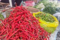 1764608782276-harga-cabai-naik-di-pasar-lubuklinggau_169