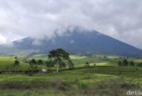 1764824781835-gunung-dempo-di-pagar-alam_169