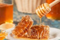 1764824794466-ilustrasi-madu-untuk-luka_169