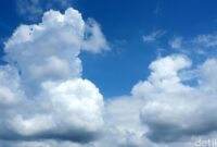 1765062282203-ef5fb211-3b99-40f7-af8a-9a9dafe9a49b_169