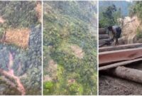 1765127130524-penampakan-hutan-di-pesisir-barat-yang-menjadi-lokasi-pembalakan-liar-1765098725599_169