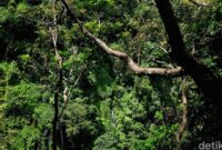 1765170349524-d3be2db7-a812-4bd6-9689-e510c430b980_169