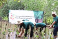 1765278354594-penanaman-mangrove-di-lampung-selatan-1765255287099_169