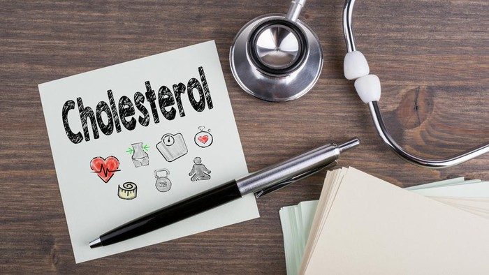 1765299919845-ilustrasi-kolesterol_169