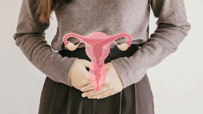 1765343146477-virus-hpv-jadi-penyebab-utama-penyakit-kanker-serviks-1763391268668_169