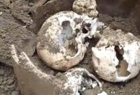 1765386334182-penemuan-tiga-tengkorak-kepala-manusia-di-bengkulu-1765362008140_169