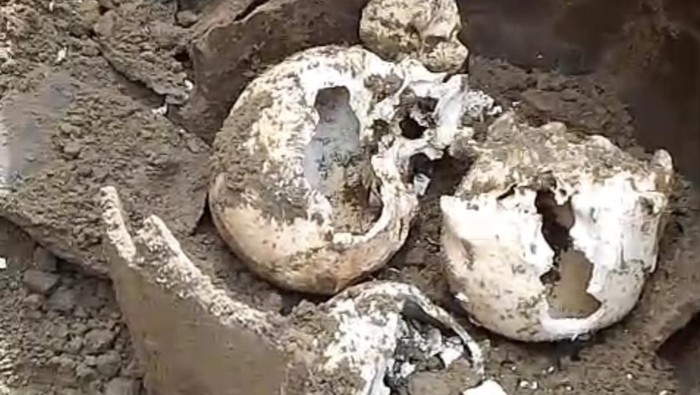 1765386334182-penemuan-tiga-tengkorak-kepala-manusia-di-bengkulu-1765362008140_169