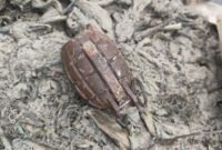 1765429573015-granat-nanas-yang-ditemukan-nelayan-bangka-barat-1765378082423_169