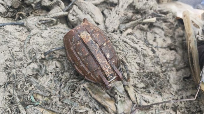 1765429573015-granat-nanas-yang-ditemukan-nelayan-bangka-barat-1765378082423_169