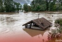 1765537557128-ee586af6-d334-413b-8304-ead675737a51_169