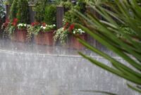 1765559139637-5911c560-06c7-4e37-b096-daf4421553b3_169