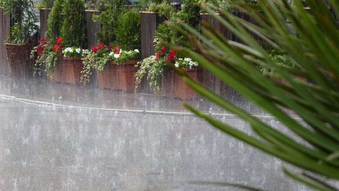 1765559139637-5911c560-06c7-4e37-b096-daf4421553b3_169