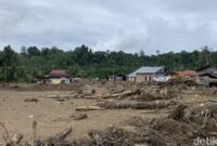 1765645527556-lokasi-bencana-banjir-dan-longsor-di-sumatera-mulia-budidetikcom-1765471845089_169