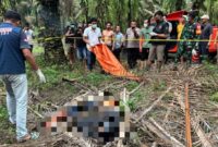 1765645530426-siswa-smk-ditemukan-tewas-membusuk-di-kebun-sawit-tulang-bawang-lampung-1765623926306_169