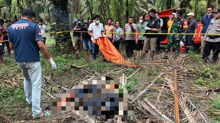 1765645530426-siswa-smk-ditemukan-tewas-membusuk-di-kebun-sawit-tulang-bawang-lampung-1765623926306_169