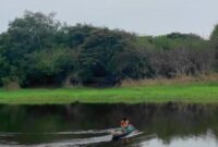 1765688715808-wisata-pinang-banjar-1765625220744_169